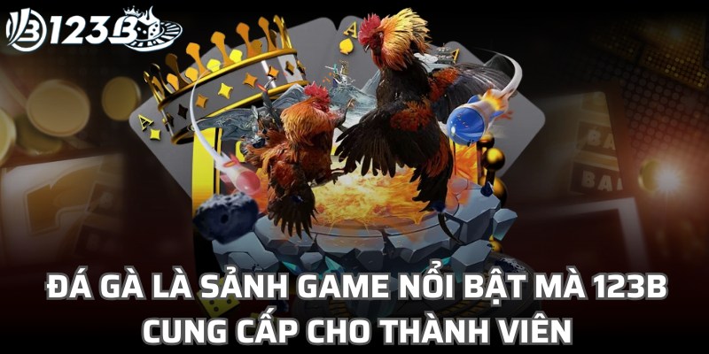 Đá gà là sảnh game giải trí nổi bật mà 123B cung cấp cho thành viên