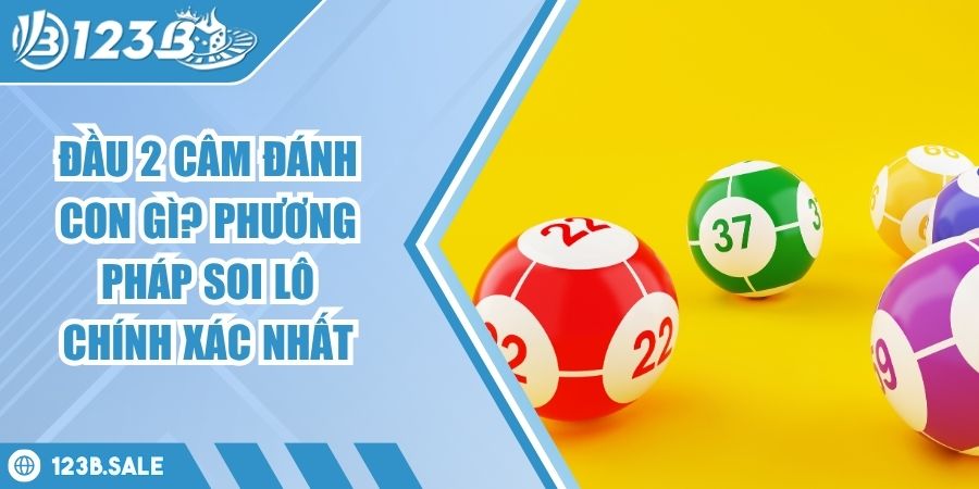 đầu 2 câm đánh con gì